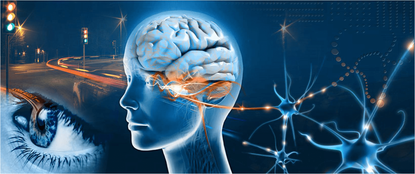 EMDR Tedavisinin Nörolojik Etkileri